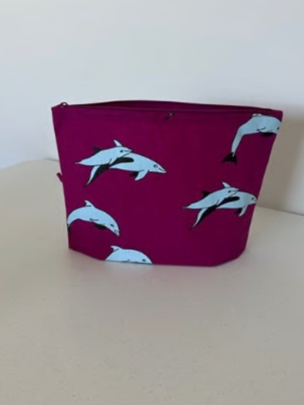 Baggu LARGE Go Pouch - Vacation Animals